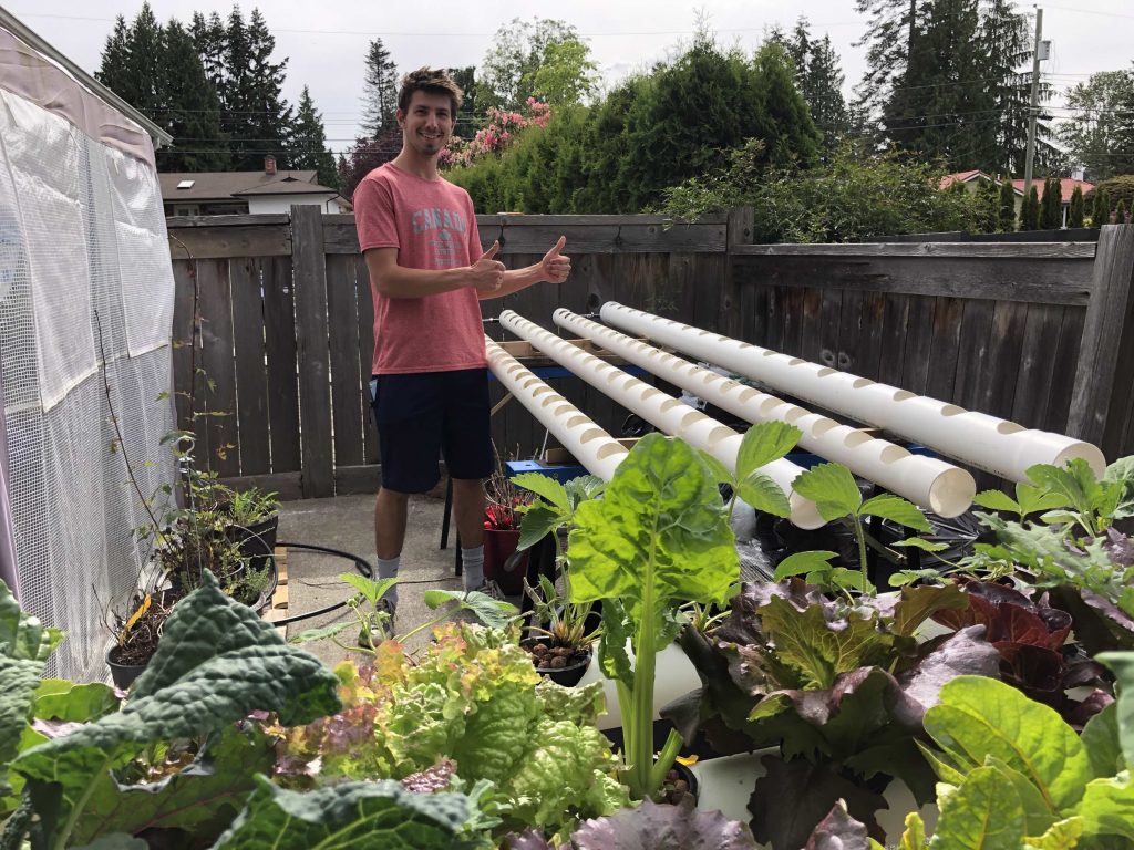 How To Build a DIY NFT (Nutrient Film Technique) Hydroponic System – Surly  Dan's Urban Farm